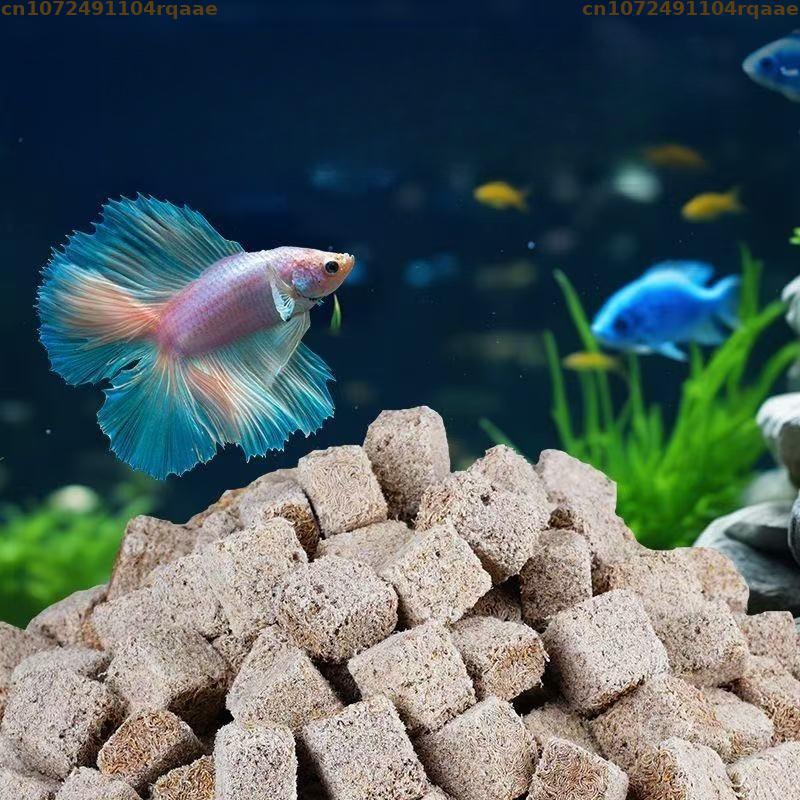 Marine Aquarium Cube - Cubos de lombrices de sangre liofilizadas