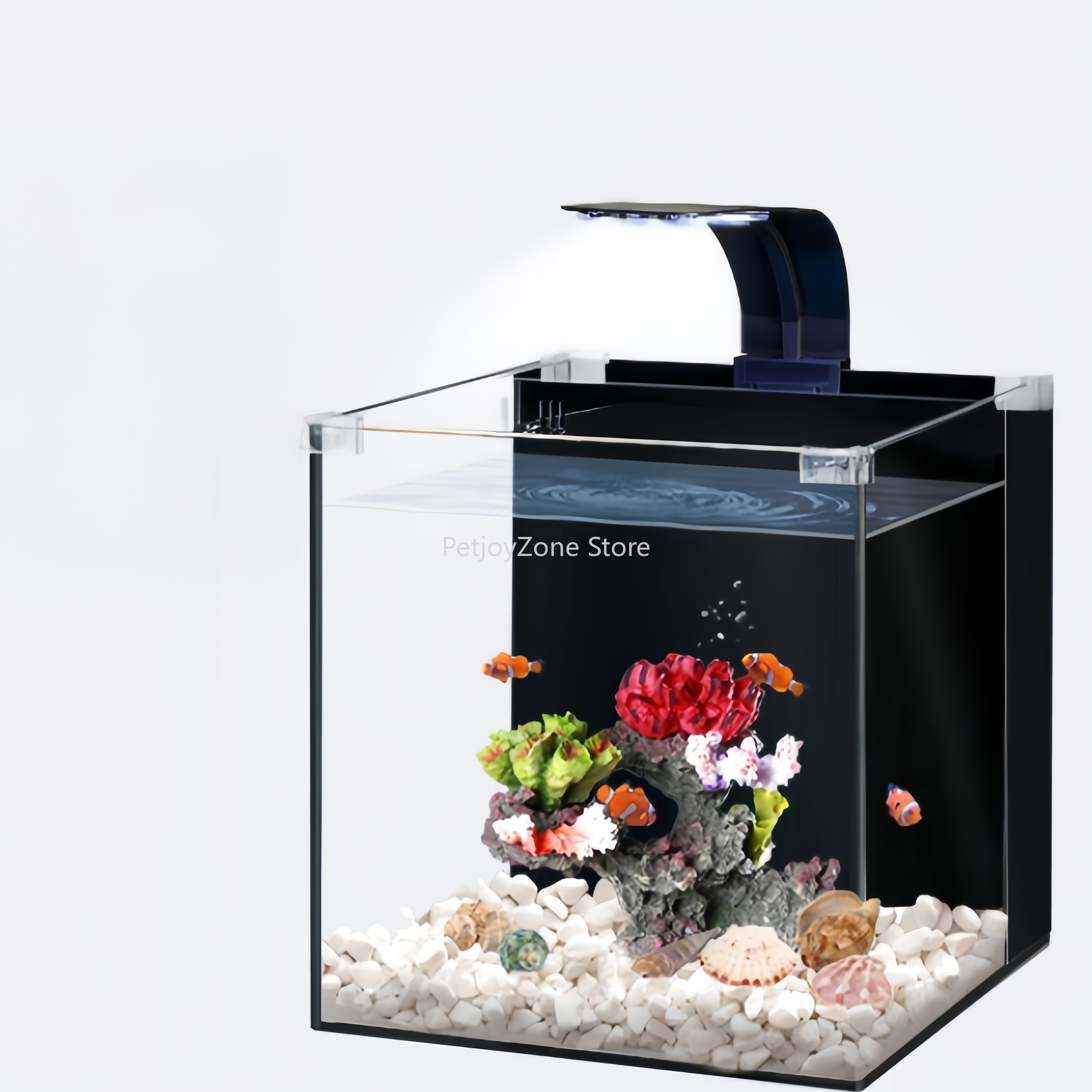 Aquarium Marine Clearwater - Acuario marino de agua salada ultra
