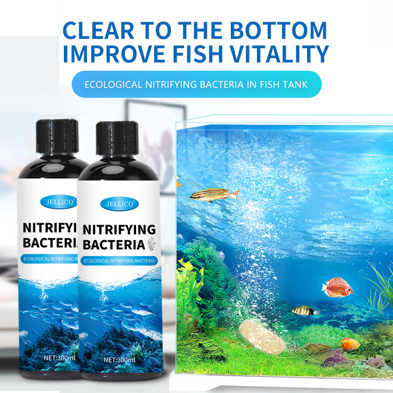 Aquarium Marine Clearwater - Purificador de Agua para Acuario con