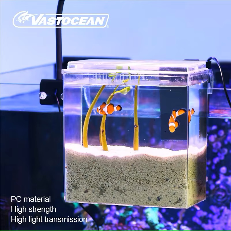 VASTOCEAN-caja de alimentación - Marine Aquarium Protein Skimmer reseña y precio