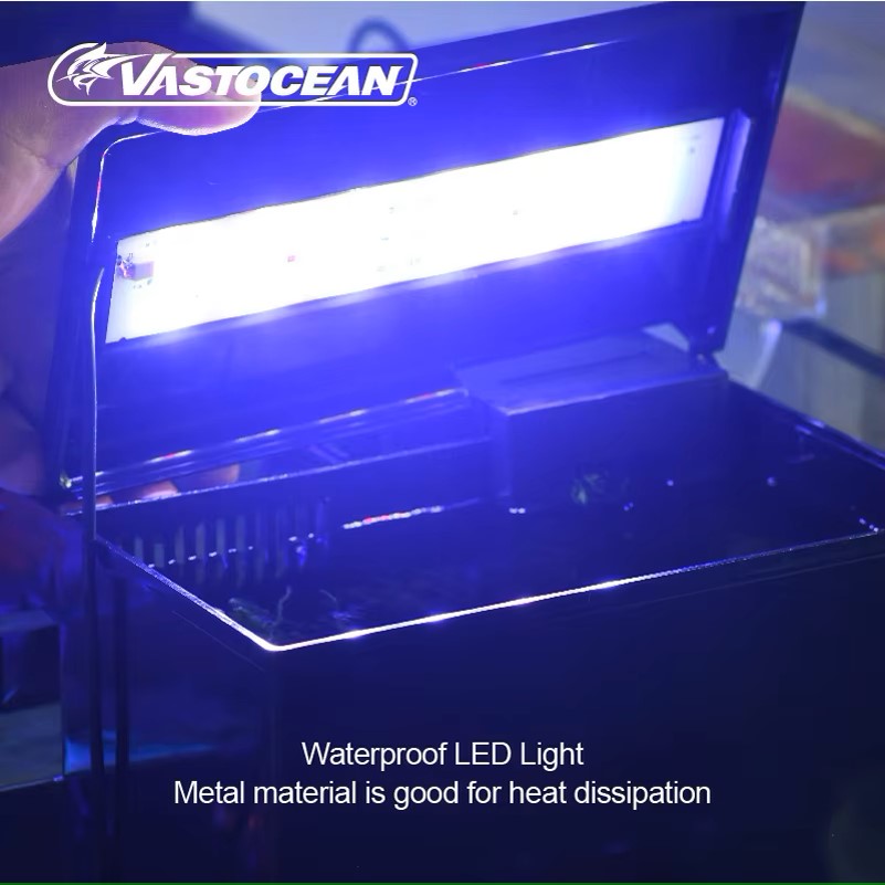VASTOCEAN-caja de alimentación - Marine Aquarium Protein Skimmer reseña y precio