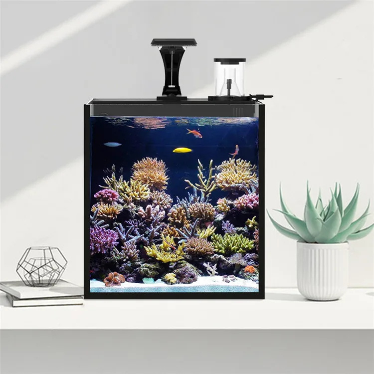 El último modelo de vidrio tra - Aquarium Marine Clearwater reseña y precio