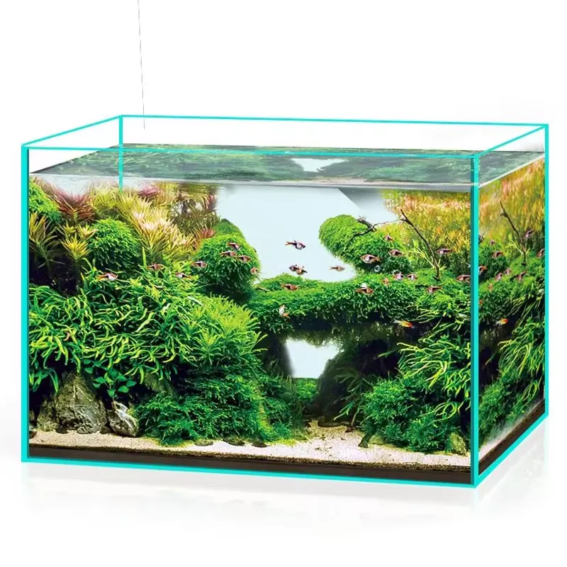 Acuario de Vidrio Ultra Transp - Aquarium Marine Clearwater reseña y precio