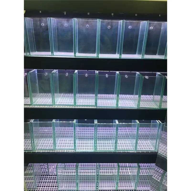 Acuario de Vidrio Ultra Transp - Aquarium Marine Clearwater reseña y precio