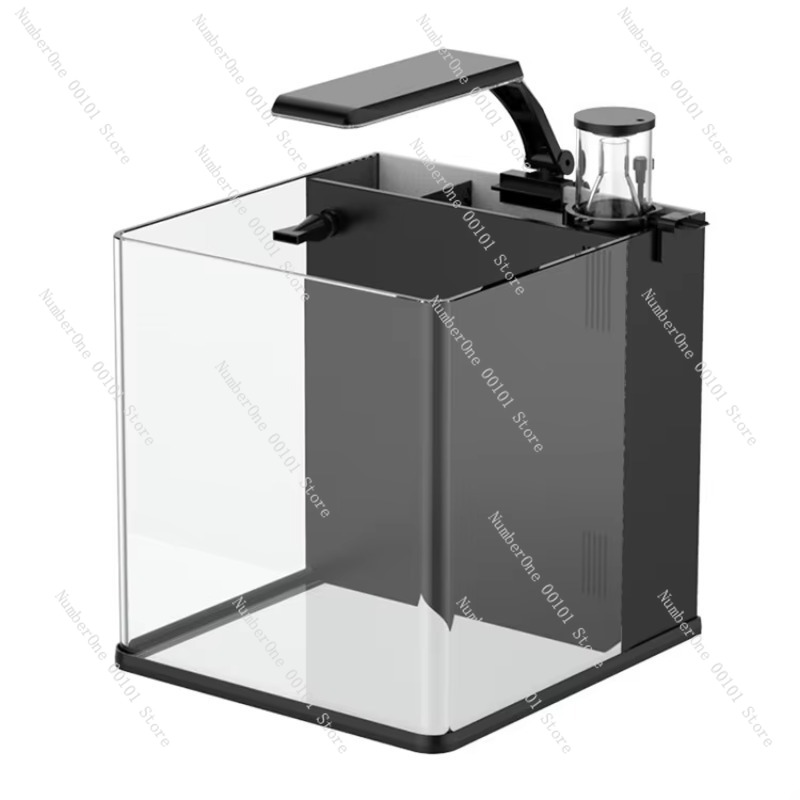 Mini Acuario de Agua Salada de - Aquarium Marine Clearwater reseña y precio