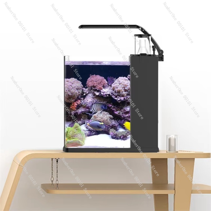 Mini Acuario de Agua Salada de - Aquarium Marine Clearwater reseña y precio