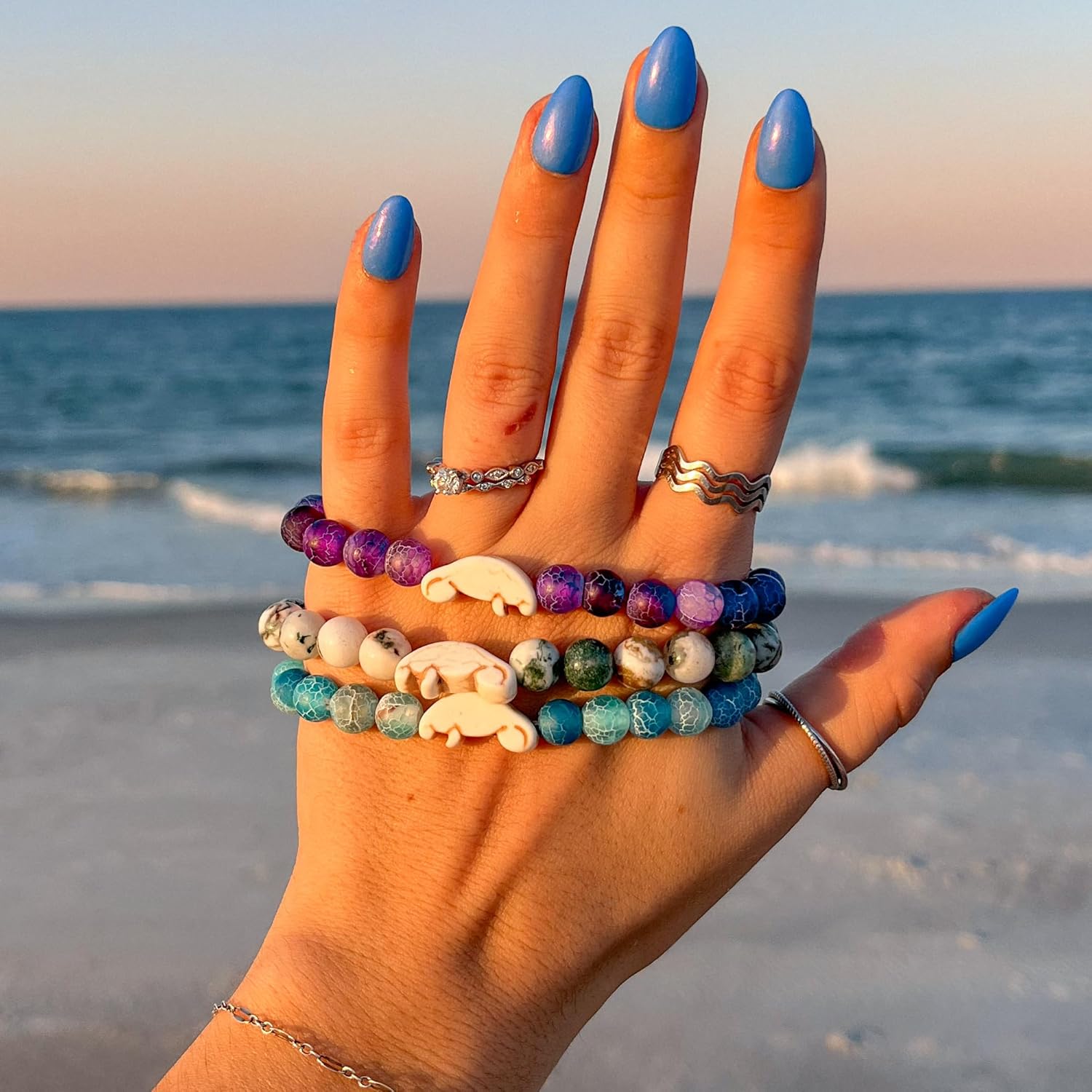 Fahlo Drift Manatee Pulsera de - Aquarium Marine Clearwater reseña y precio