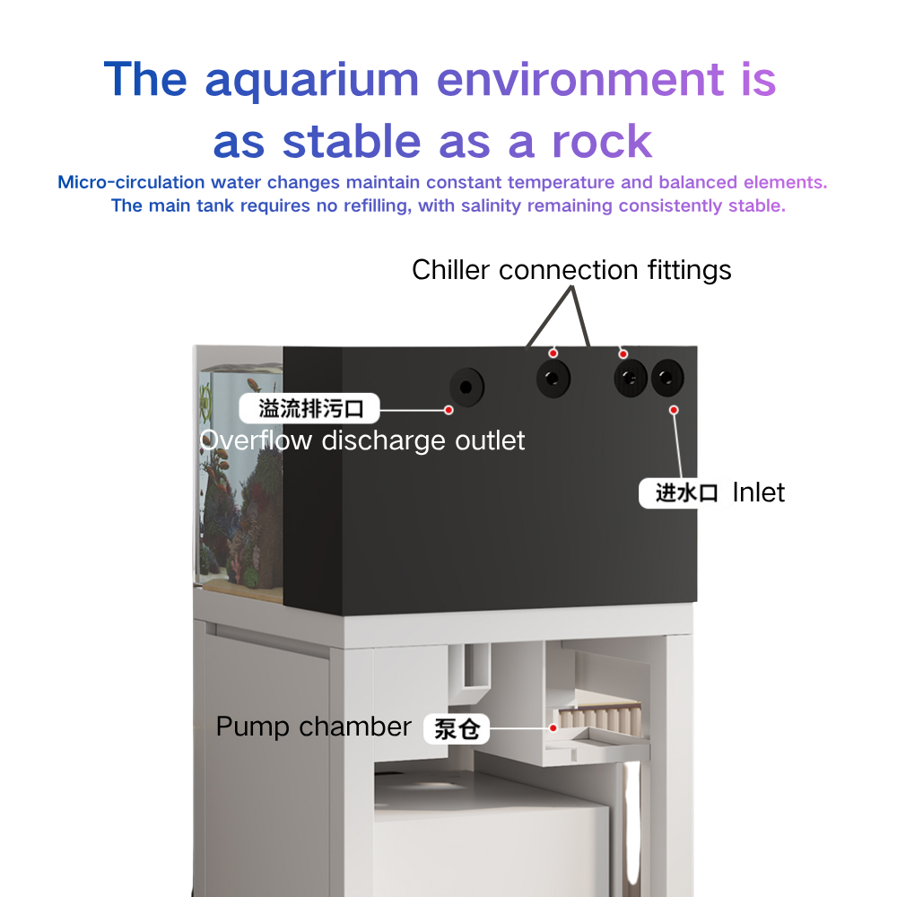 Pecera Inteligente con Cambio  - Marine Aquarium Cube reseña y precio