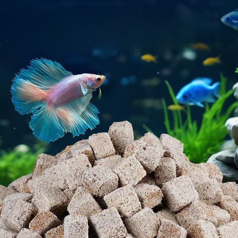 Cubo de gusanos de sangre liof - Marine Aquarium Cube reseña y precio
