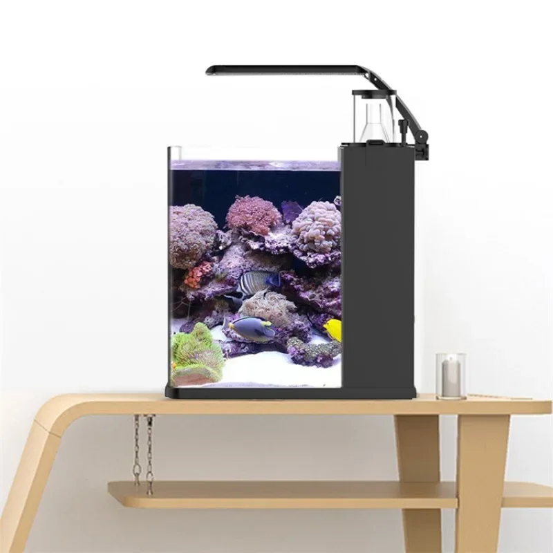 Acuario Marino de Agua Salada  - Aquarium Marine Clearwater reseña y precio