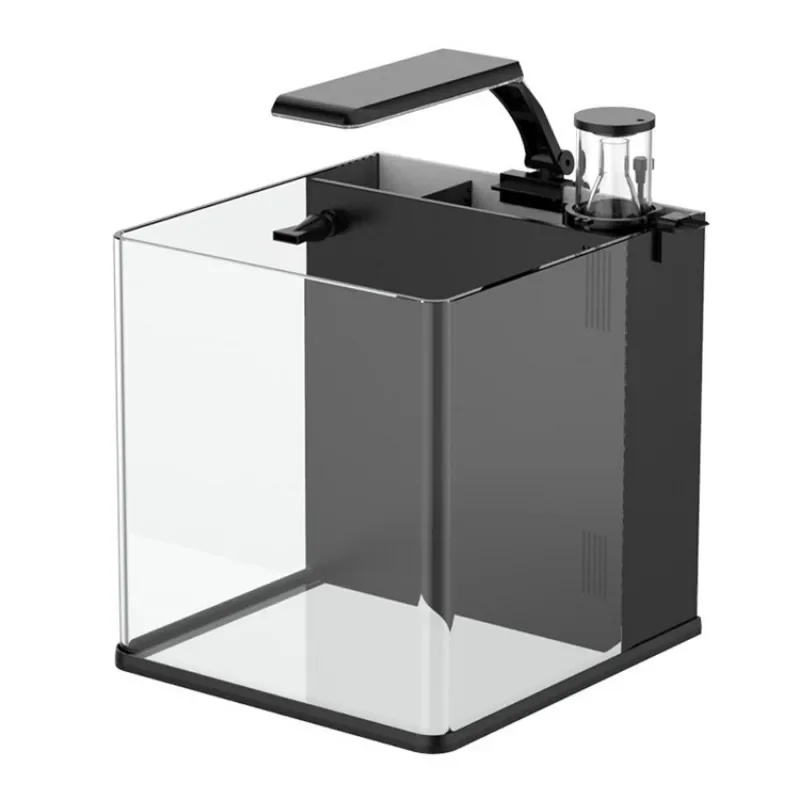 Acuario Marino de Agua Salada  - Aquarium Marine Clearwater reseña y precio