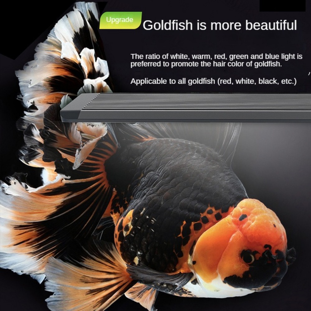 Lámpara LED para Acuario con L - Aquarium Marine Clearwater reseña y precio