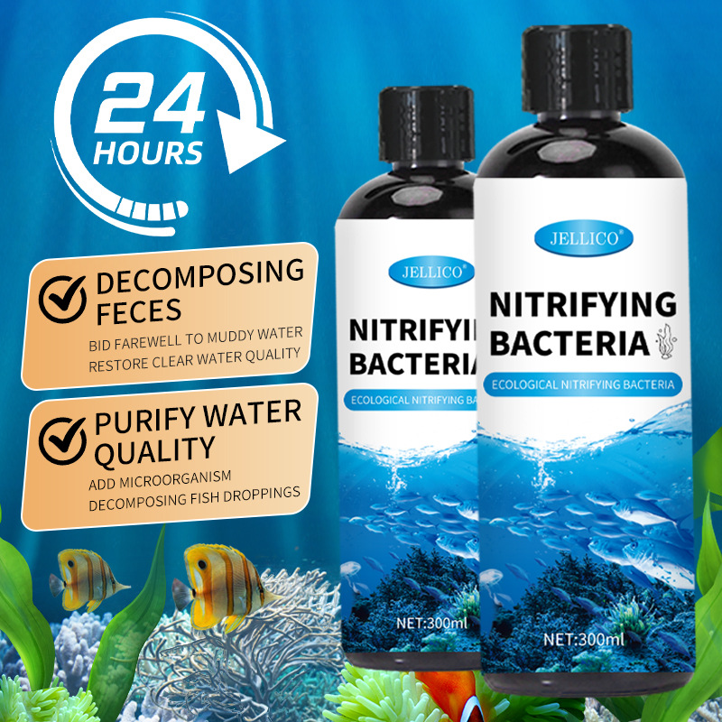 Purificador de Agua para Acuar - Aquarium Marine Clearwater reseña y precio