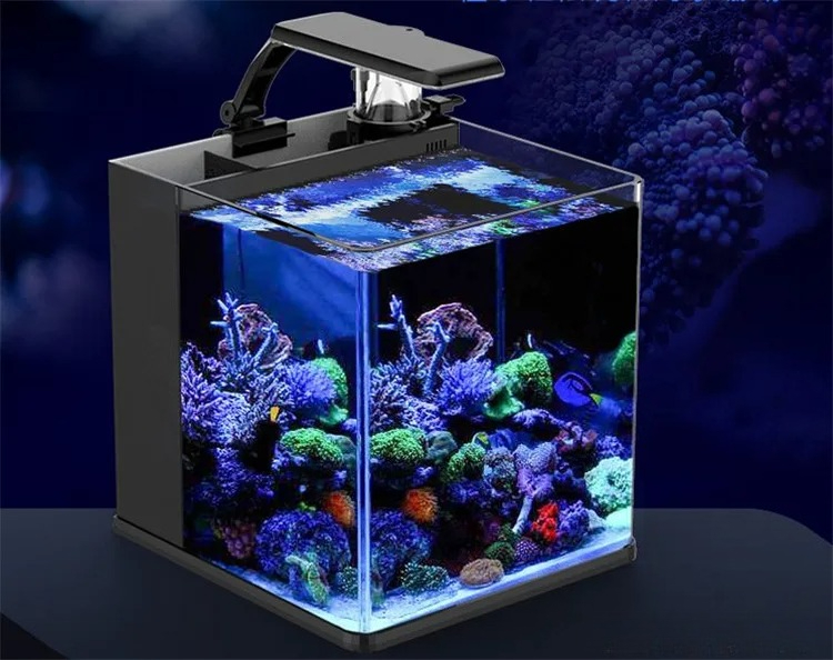 Mini Acuario Marino de Agua Sa - Aquarium Marine Clearwater reseña y precio