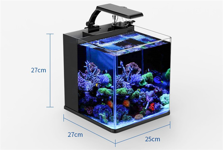 Mini Acuario Marino de Agua Sa - Aquarium Marine Clearwater reseña y precio