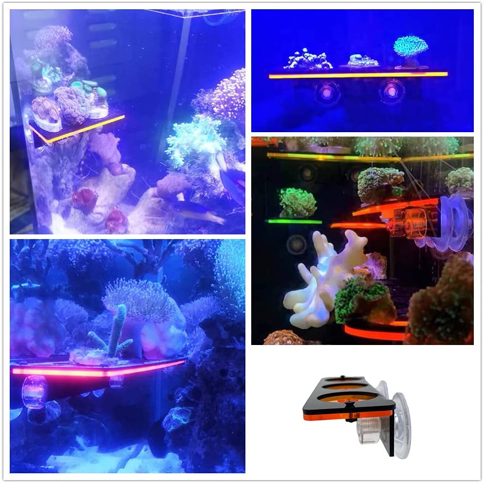 Soporte de enchufe de Coral fl - Marine Aquarium Orp reseña y precio
