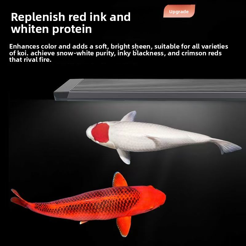 Lámpara LED para Acuario con S - Aquarium Marine Clearwater reseña y precio