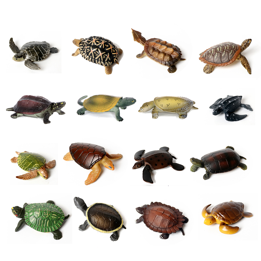 Miniaturas realistas para deco - Marine Aquarium & Regional Centre Reviews reseña y precio